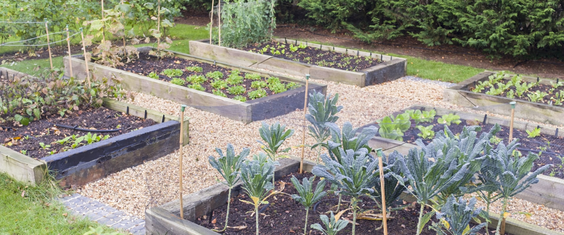 Wat heb je nodig voor beginners in de tuin?