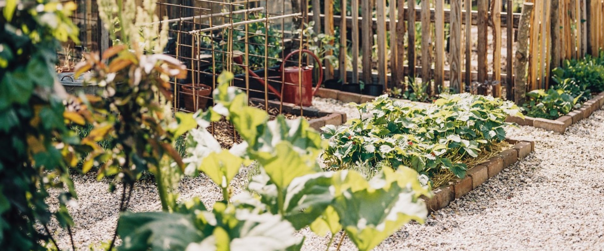 Hoe start je stap voor stap een moestuin?