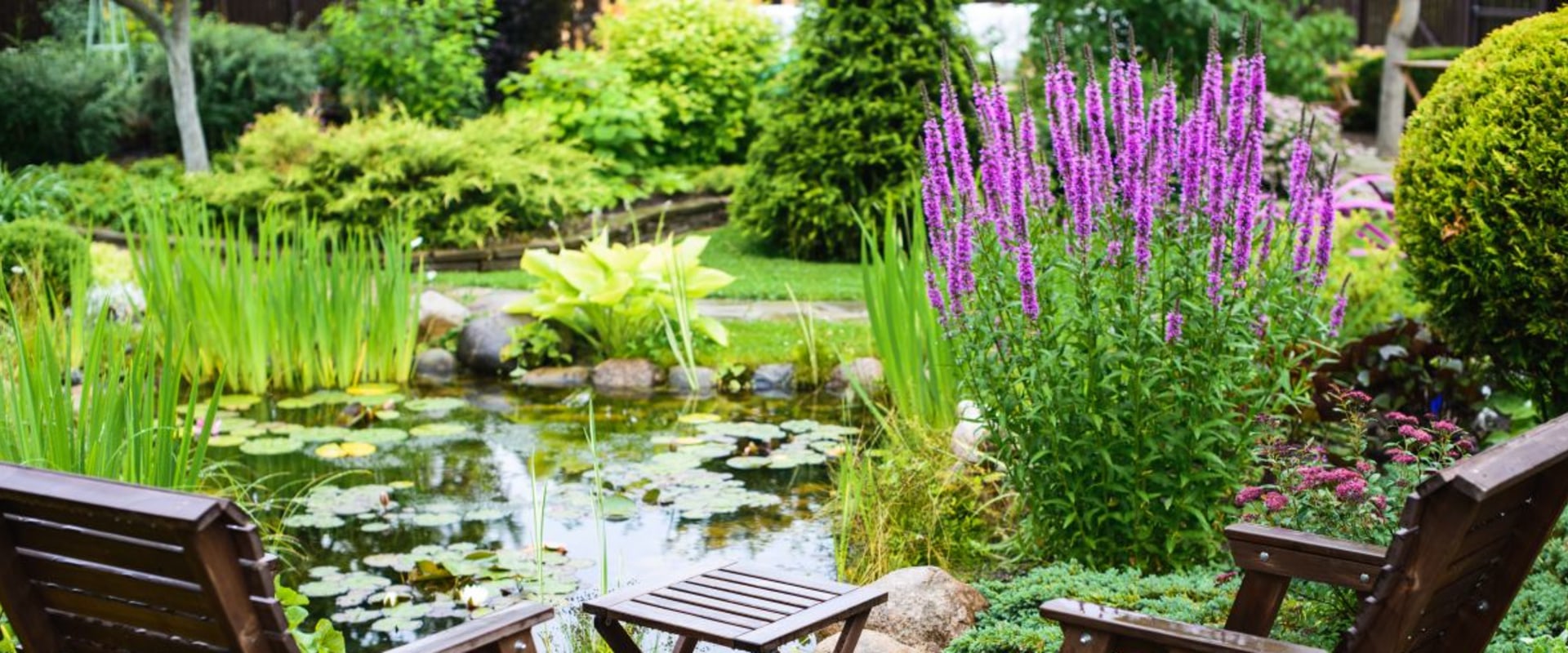 Welke hulpmiddelen heb ik nodig om een tuin te starten?