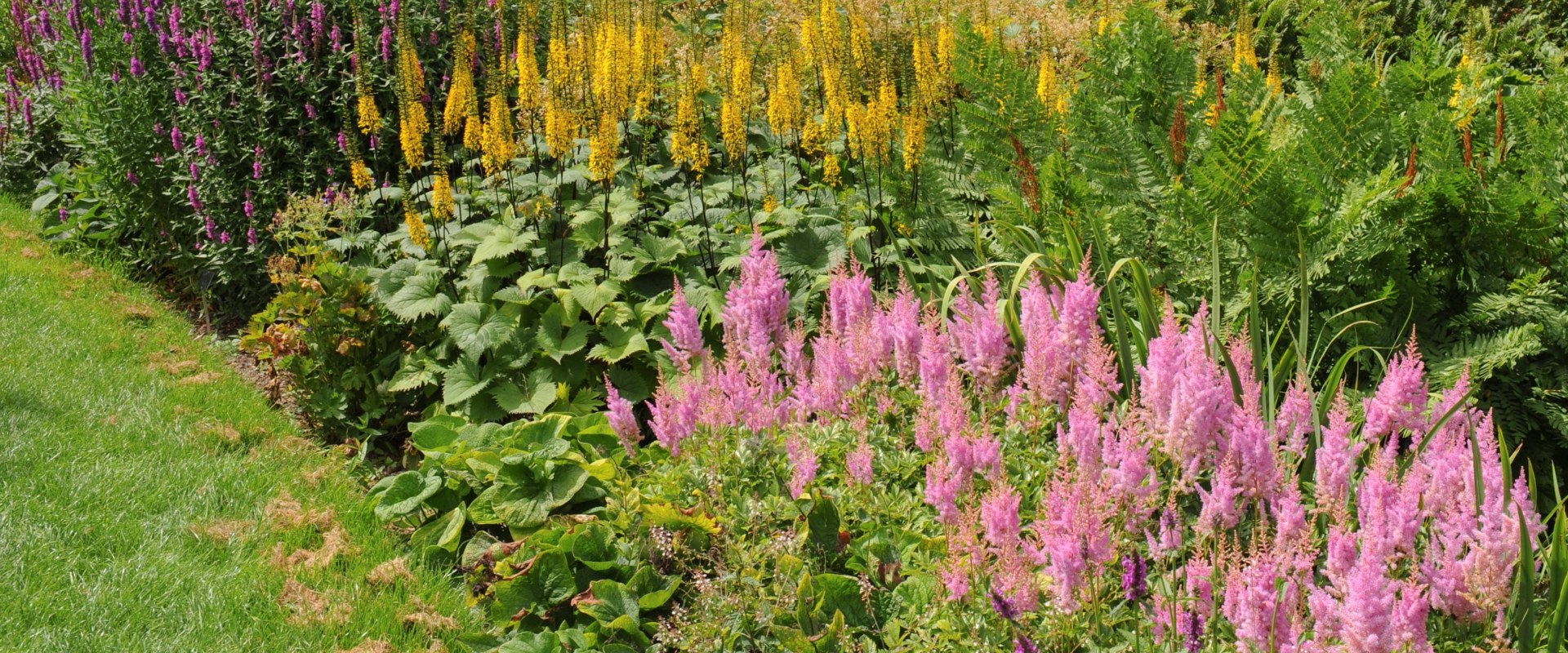 Welke hulpmiddelen heb je nodig om een tuin te planten?