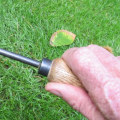 Welk gereedschap heeft elke tuinman nodig?