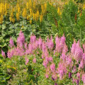 Welke hulpmiddelen heb je nodig om een tuin te planten?