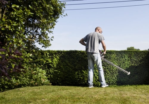 Wat is het belangrijkste hulpmiddel dat elke tuinman zou moeten hebben?