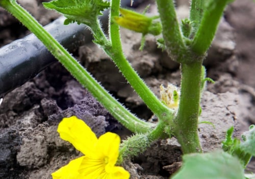 Welke apparatuur heb je nodig voor een moestuin?