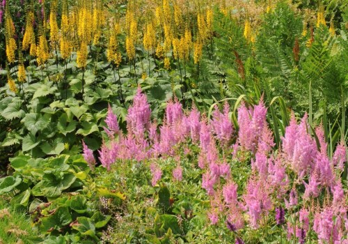 Welke hulpmiddelen heb je nodig om een tuin te planten?